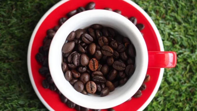 Arkom Kawa Naturalna Ziarnista Arabica Honduras Shg 100g