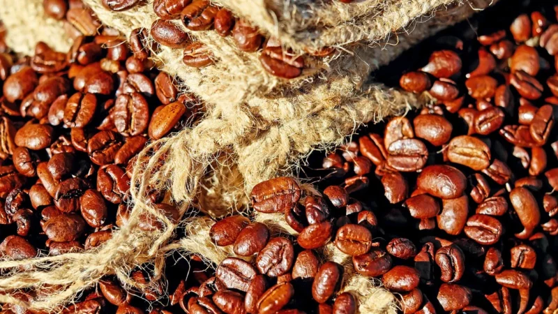 Bio Vegan Substytut Białka Jaj W Proszku Wegański Bezglutenowy Bio 40g Biovegan