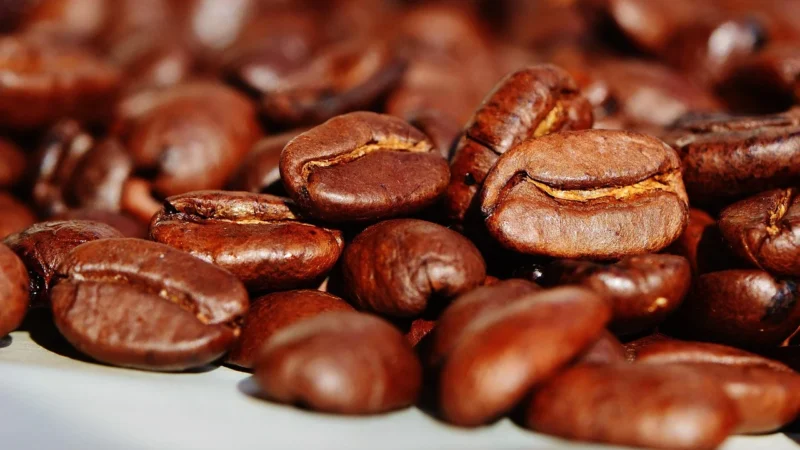 Costa Coffee Kawa Mielona Crema Blend 500g