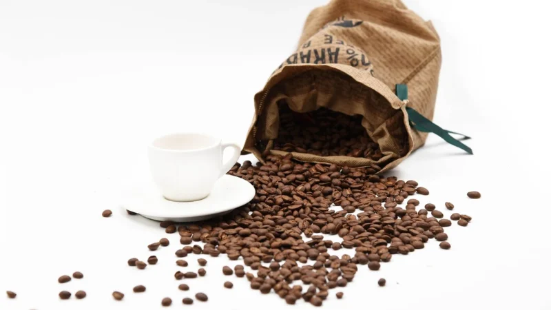 Gimoka Kawa Ziarnista Cremoso Professional 1kg