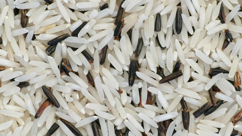 La Chef La Chef Ryż Basmati 5Kg