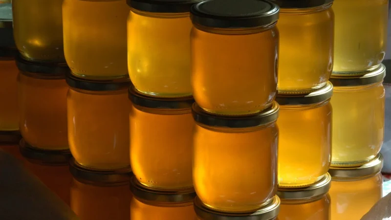 Manuka health miód manuka mgo+550 500g