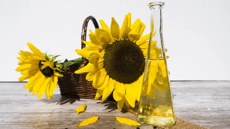 Olmuhle Fandler Bio Olej Z Pestek Dyni 100Ml
