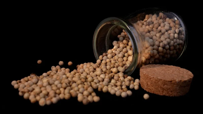 Polska Pasieka Pszczelarska Pierzga pszczela 250g