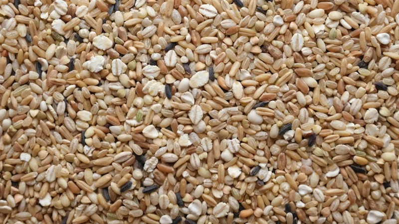 Progressive Konopka – Herbata Z Konopią 50g