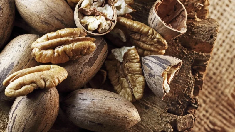 Promienie słońca Orzechy pekan łuskane połówki 500G