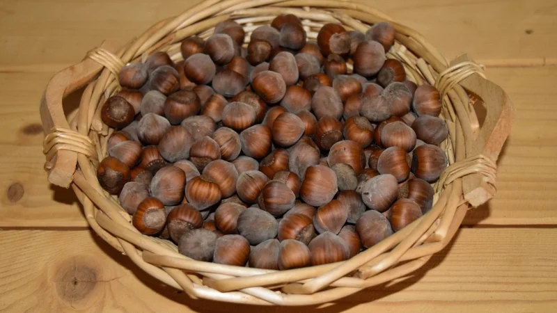 Rafex Drożdze instant piekarnicze 1kg
