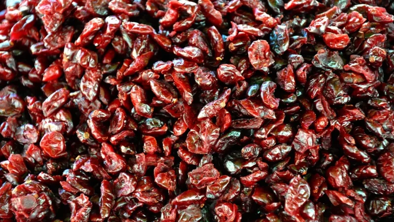 Rafex Dzika róża grys 1kg