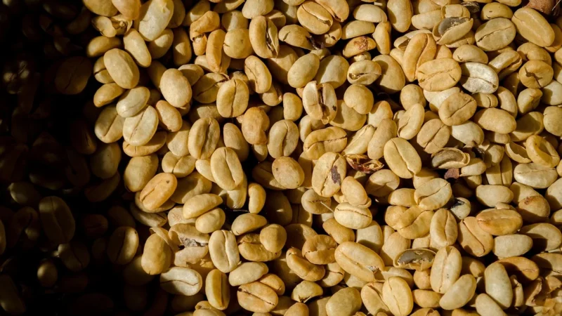 Rafex Kawa kopi luwak 1kg
