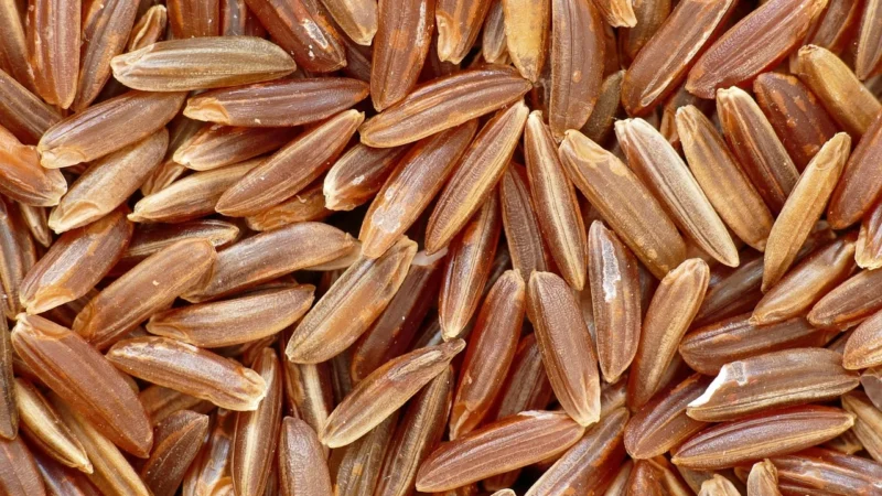 Ryż Biały Długoziarnisty Bezglutenowy Bio 5Kg H