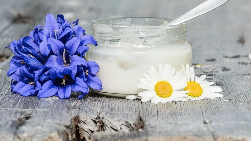 Sok Z Morwy Białej Na Miodzie Z Podkarpacia 250ml