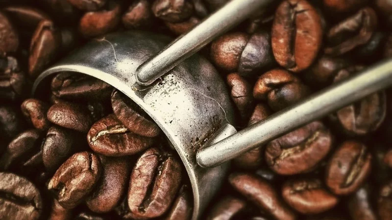 że zawiera dwa razy więcej kofeiny (około 150mg/espresso) niż kawy z gatunku arabika